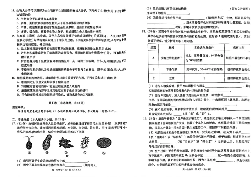 贵州省贵阳市2024-2025学年高一上学期10月联合考试（一）生物PDF版含解析_2024-2025高一（7-7月题库）_2024年11月试卷_1104贵州省贵阳市2024-2025学年高一上学期10月联合考试（一）