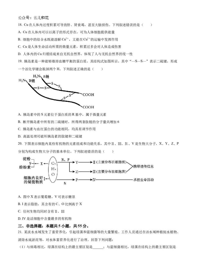 辽宁省县域重点高中协作体2024_2025学年高一上学期10月质量监测试题生物Word版含答案_2024-2025高一（7-7月题库）_2024年10月试卷