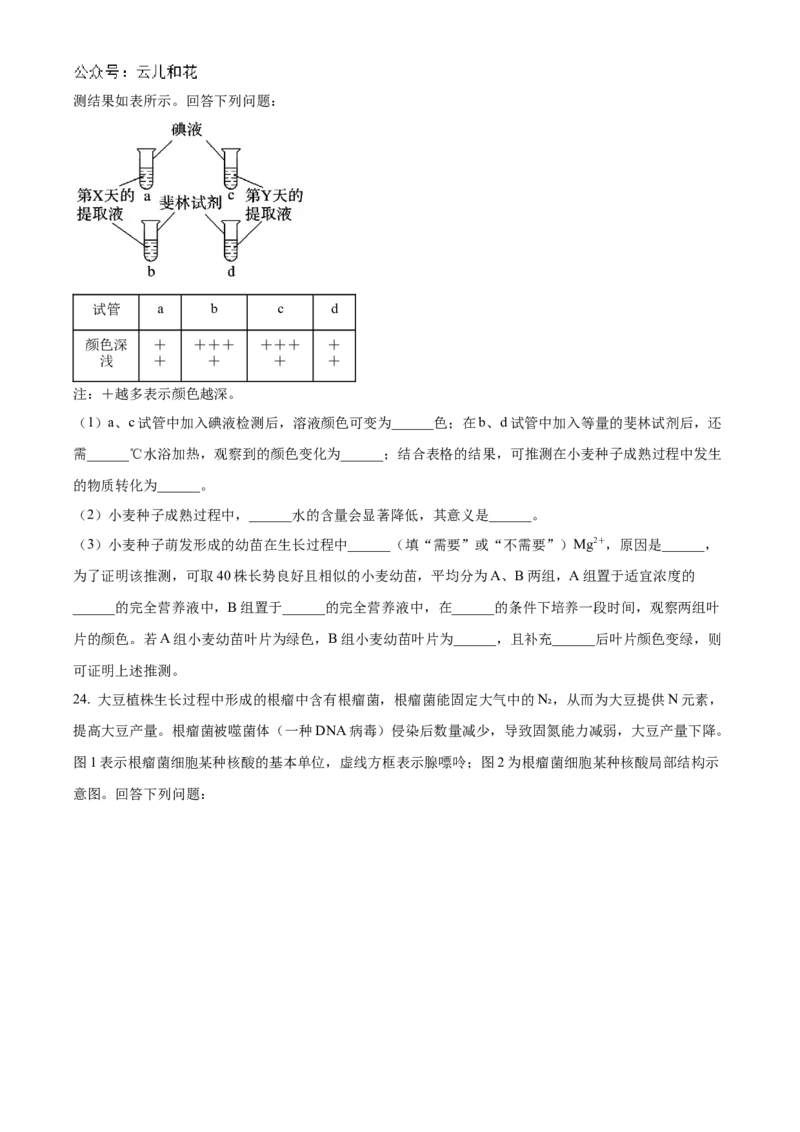 辽宁省县域重点高中协作体2024_2025学年高一上学期10月质量监测试题生物Word版含答案_2024-2025高一（7-7月题库）_2024年10月试卷