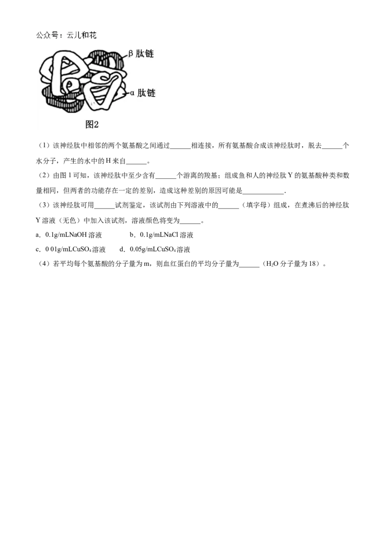 辽宁省县域重点高中协作体2024_2025学年高一上学期10月质量监测试题生物Word版含答案_2024-2025高一（7-7月题库）_2024年10月试卷