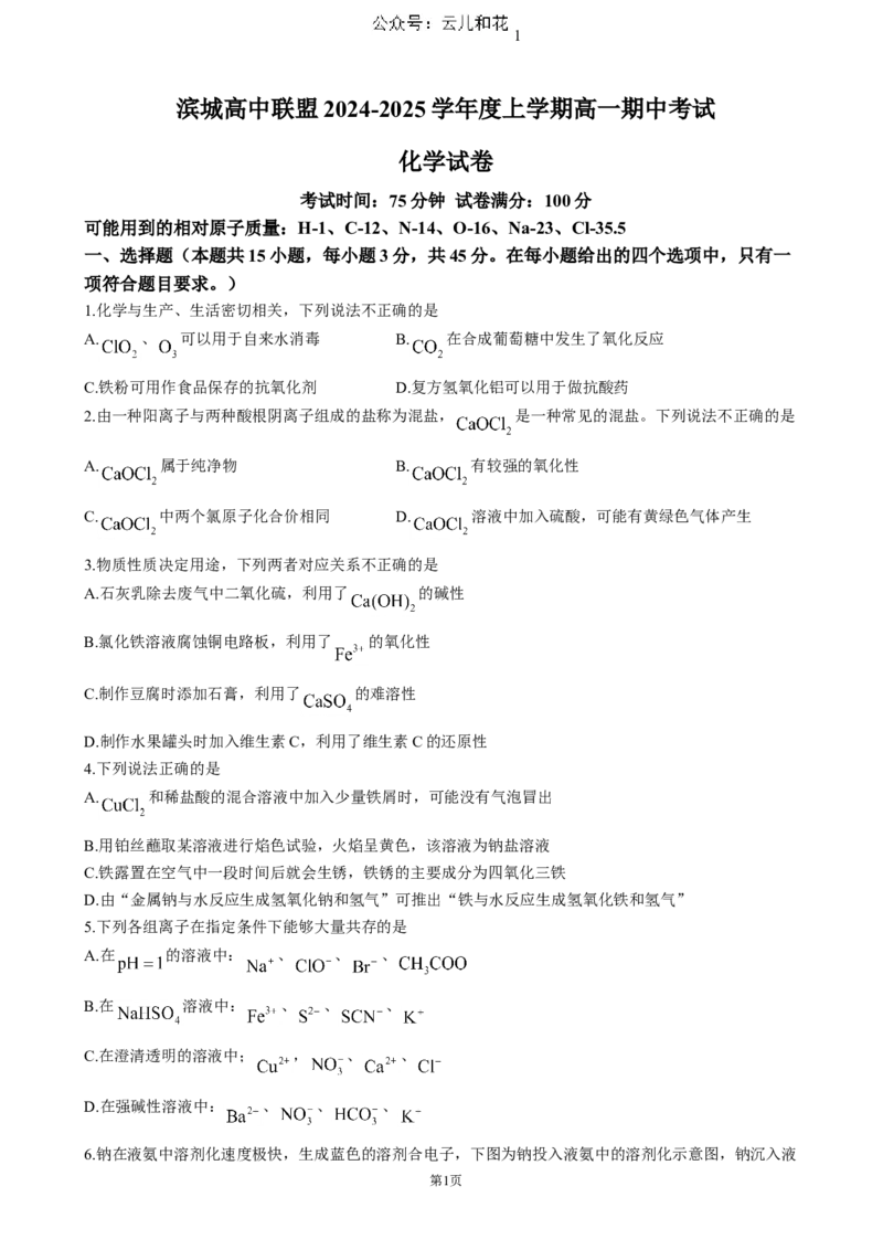 辽宁省大连市滨城高中联盟2024-2025学年高一上学期期中考试化学试卷（含答案）_2024-2025高一（7-7月题库）_2024年12月试卷_1202辽宁省大连市滨城高中联盟2024-2025学年高一上学期期中考试