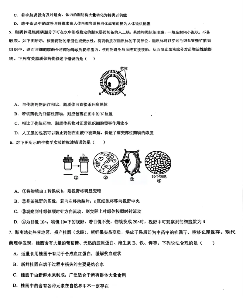 海南省先锋联盟2024-2025学年高一上学期11月期中考试生物PDF版含答案_2024-2025高一（7-7月题库）_2024年11月试卷_1125海南省先锋联盟2024-2025学年高一上学期11月期中考试