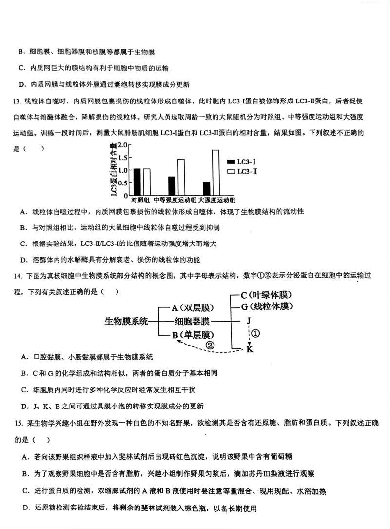 海南省先锋联盟2024-2025学年高一上学期11月期中考试生物PDF版含答案_2024-2025高一（7-7月题库）_2024年11月试卷_1125海南省先锋联盟2024-2025学年高一上学期11月期中考试