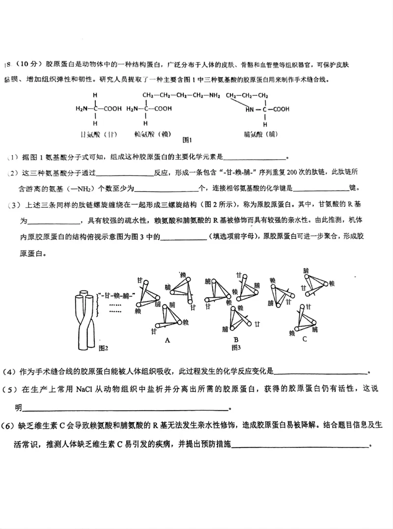 海南省先锋联盟2024-2025学年高一上学期11月期中考试生物PDF版含答案_2024-2025高一（7-7月题库）_2024年11月试卷_1125海南省先锋联盟2024-2025学年高一上学期11月期中考试