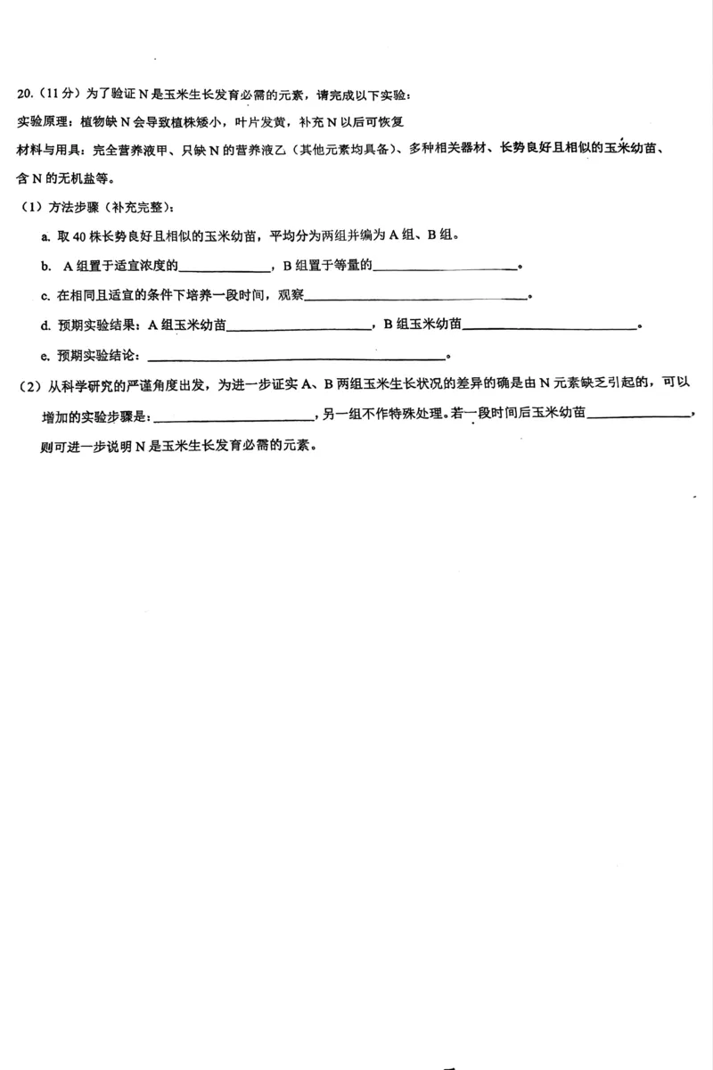 海南省先锋联盟2024-2025学年高一上学期11月期中考试生物PDF版含答案_2024-2025高一（7-7月题库）_2024年11月试卷_1125海南省先锋联盟2024-2025学年高一上学期11月期中考试