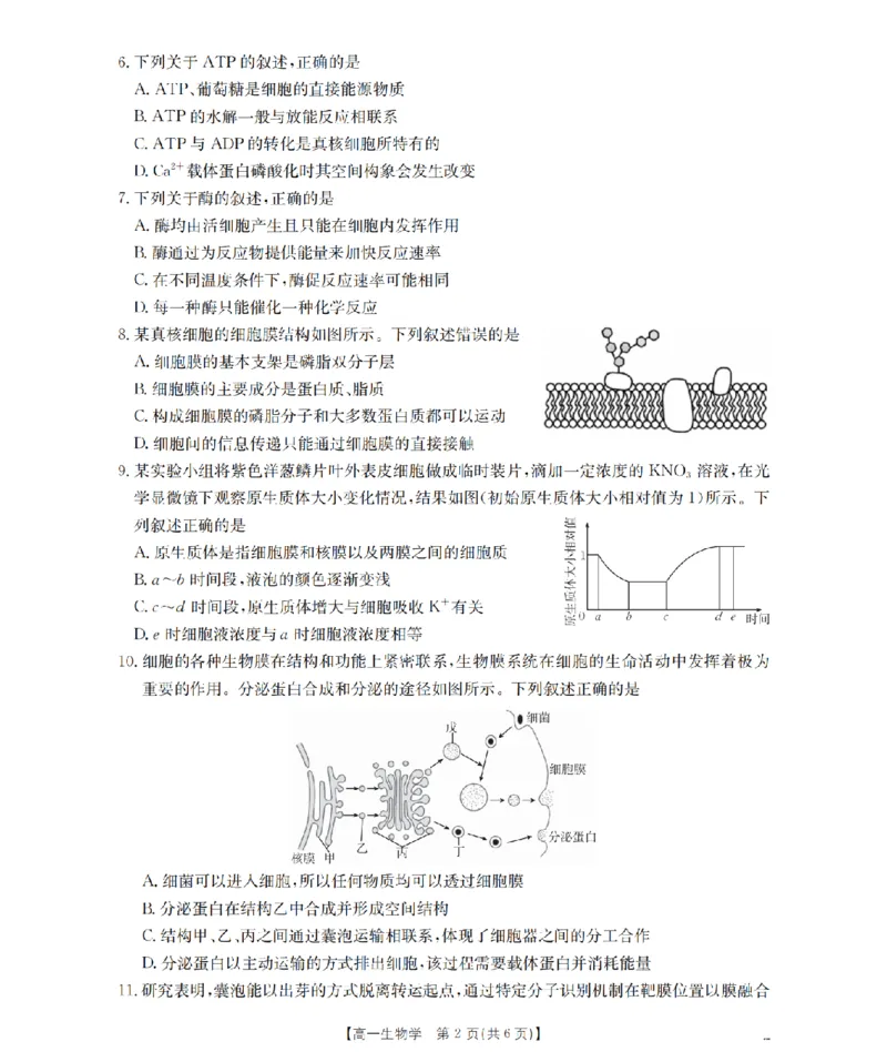 生物学_扫描版_2024-2025高一（7-7月题库）_2026年1月高一_260130金太阳&middot;甘肃省天水市2025-2026学年高一上学期1月月考阶段性检测（全）
