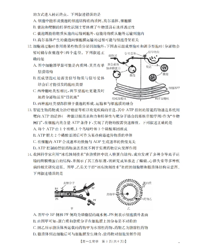 生物学_扫描版_2024-2025高一（7-7月题库）_2026年1月高一_260130金太阳&middot;甘肃省天水市2025-2026学年高一上学期1月月考阶段性检测（全）