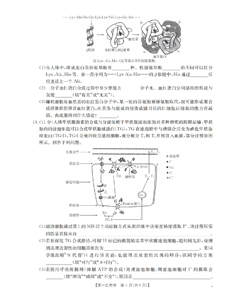 生物学_扫描版_2024-2025高一（7-7月题库）_2026年1月高一_260130金太阳&middot;甘肃省天水市2025-2026学年高一上学期1月月考阶段性检测（全）