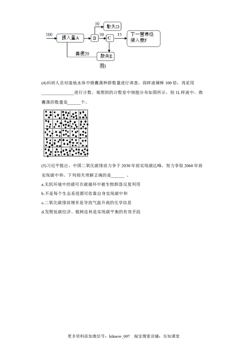 第三章生态系统及其稳定性-2022-2023学年高二生物章末测试必刷卷（人教版2019选择性必修2）（原卷版）_E015高中全科试卷_生物试题_选修2_1.单元测试_3、单元测试2023
