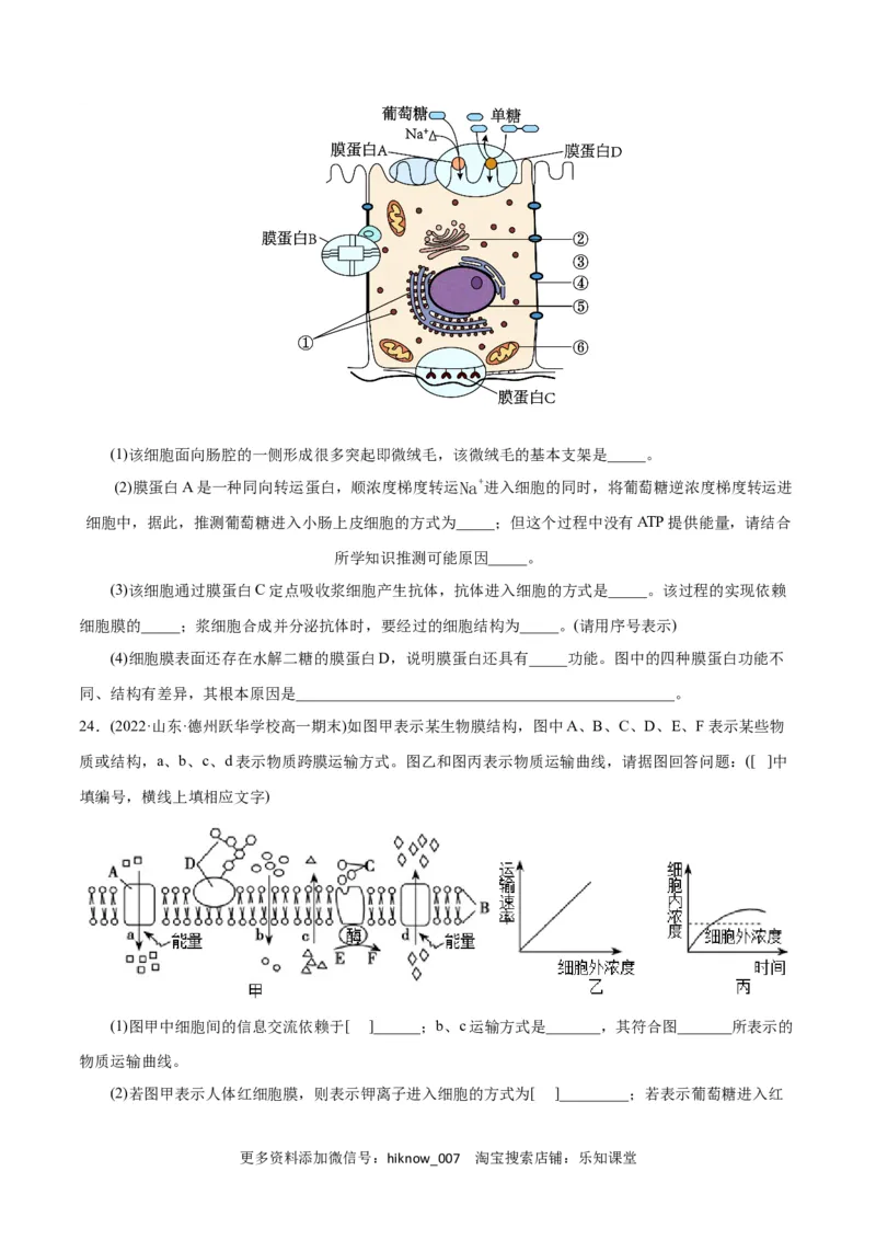 第4章细胞的物质输入和输出（A卷&middot;知识通关练）（原卷版）_E015高中全科试卷_生物试题_必修1_1.单元测试_1.单元测试AB卷（第一套）