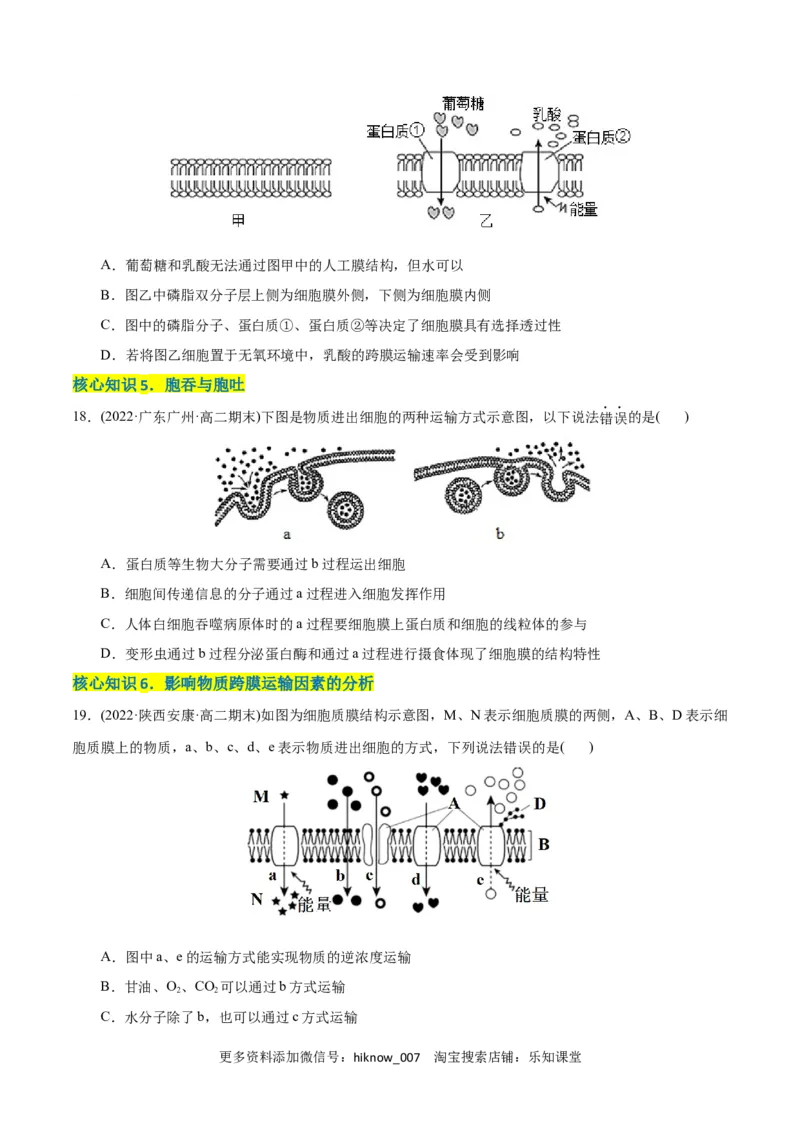第4章细胞的物质输入和输出（A卷&middot;知识通关练）（原卷版）_E015高中全科试卷_生物试题_必修1_1.单元测试_1.单元测试AB卷（第一套）