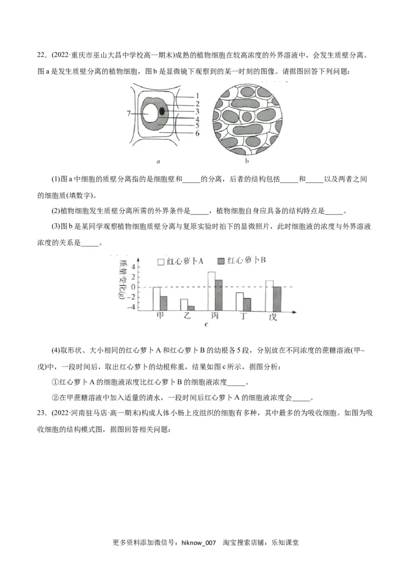 第4章细胞的物质输入和输出（A卷&middot;知识通关练）（原卷版）_E015高中全科试卷_生物试题_必修1_1.单元测试_1.单元测试AB卷（第一套）