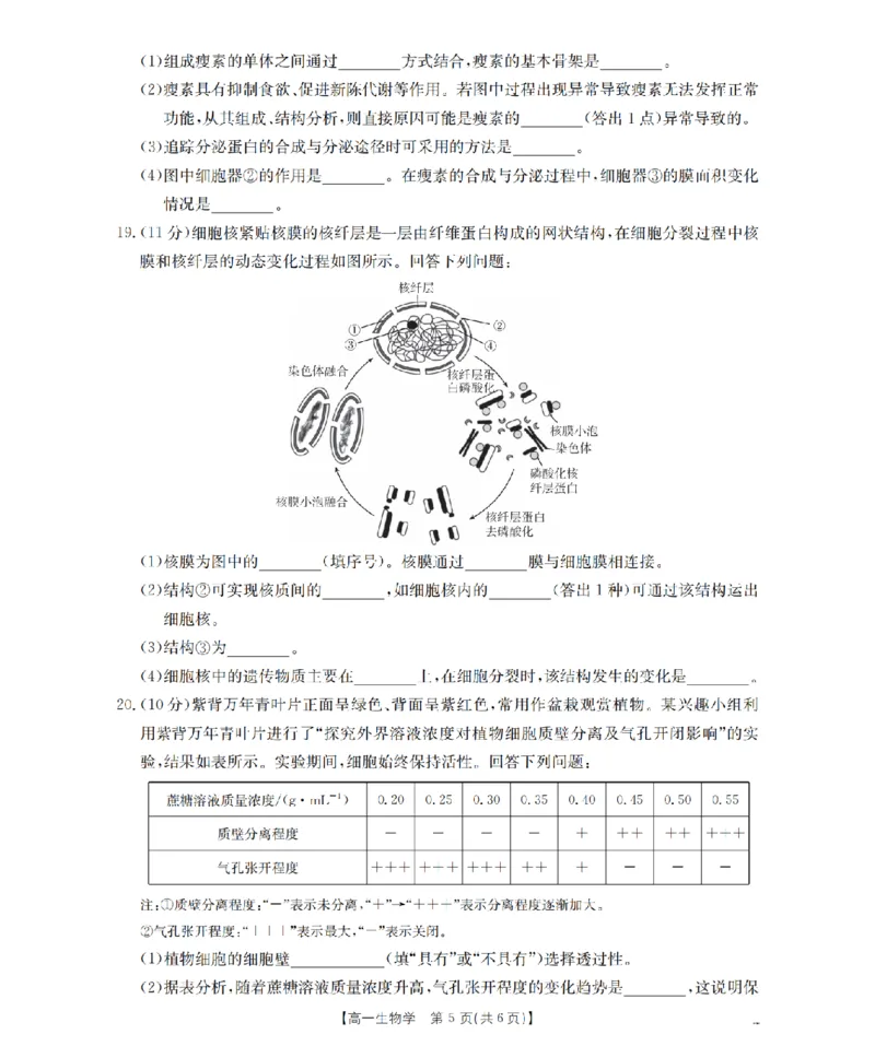 贵州省毕节地区织金一中2025-2026学年高一上学期12月月考（26-154A）生物_2024-2025高一（7-7月题库）_2026年1月高一