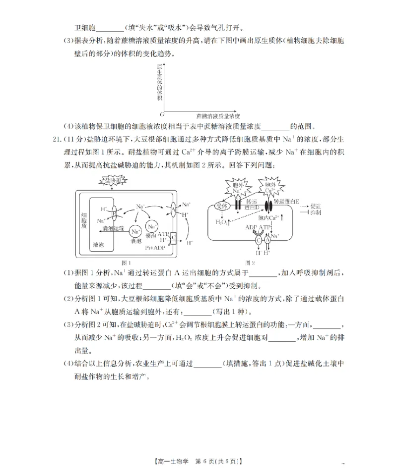贵州省毕节地区织金一中2025-2026学年高一上学期12月月考（26-154A）生物_2024-2025高一（7-7月题库）_2026年1月高一