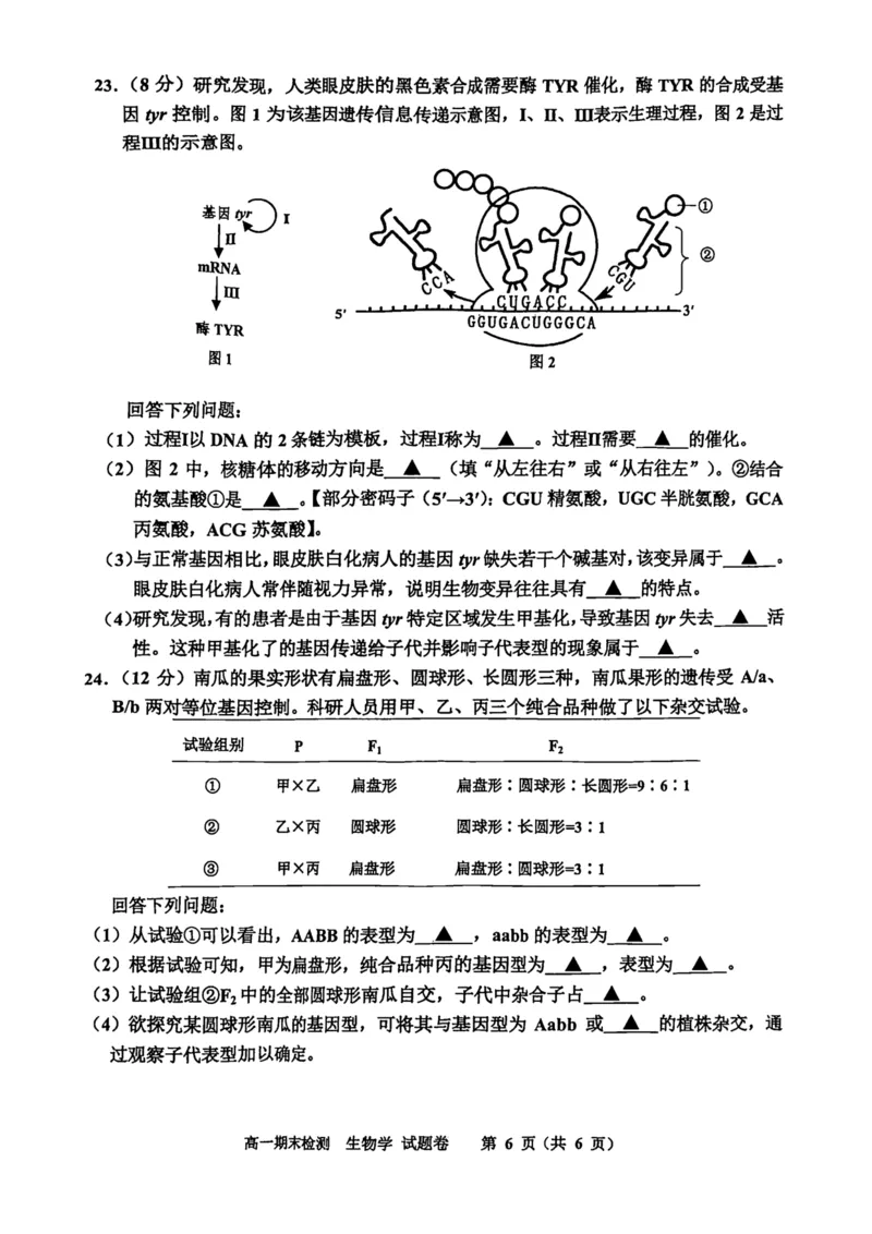 浙江省嘉兴市2024-2025学年高一下学期6月期末检测生物试卷（扫描版，有答案）_2024-2025高一（7-7月题库）_2025年7月_250701浙江嘉兴市2024-2025学年高一下学期期末测试