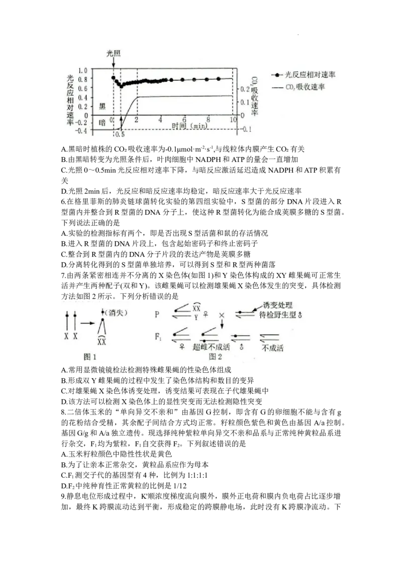 山东省烟台市、菏泽市2024届高三上学期1月期末考试生物(1)_2024年2月_022月合集_2024届山东省烟台市、菏泽市高三上学期1月期末考试