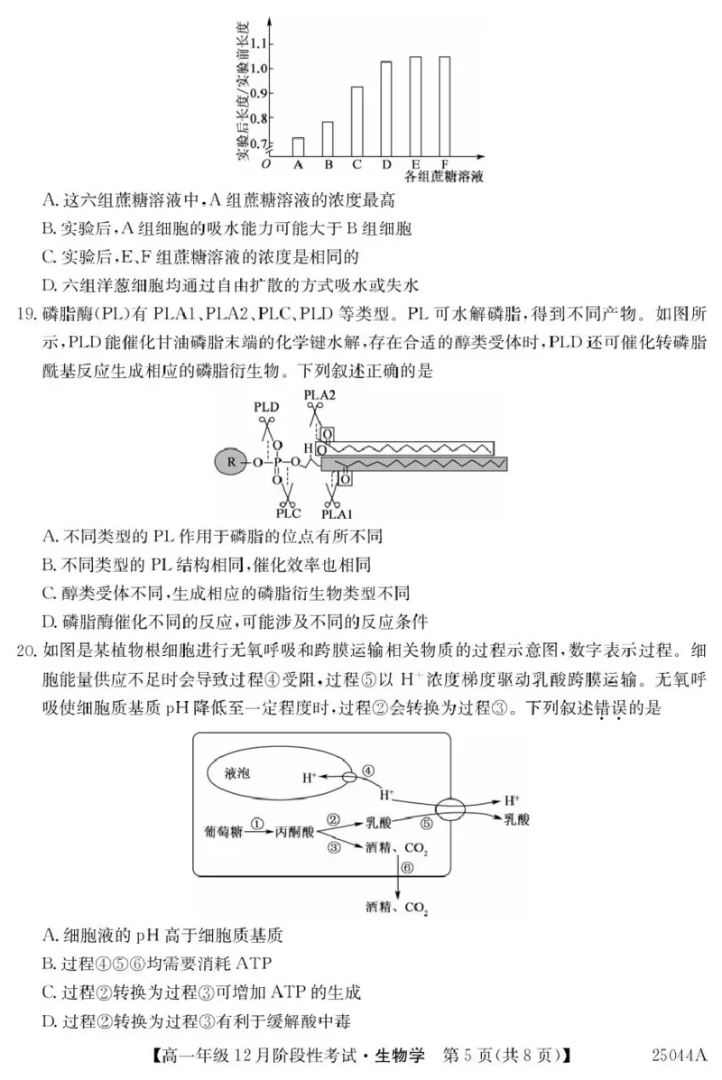 黑龙江省2024-2025学年高一上学期12月月考试题生物PDF版含解析_2024-2025高一（7-7月题库）_2025年01月试卷_0107黑龙江省2024-2025学年高一上学期12月月考试题
