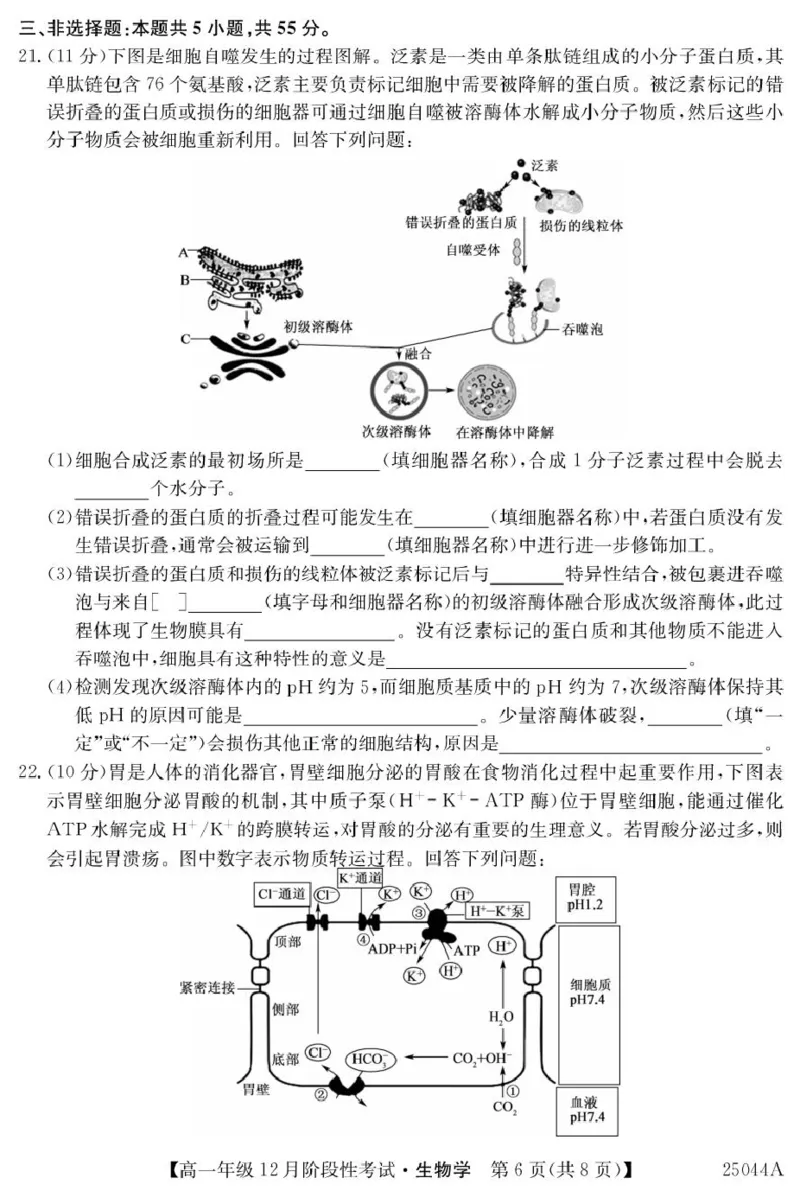 黑龙江省2024-2025学年高一上学期12月月考试题生物PDF版含解析_2024-2025高一（7-7月题库）_2025年01月试卷_0107黑龙江省2024-2025学年高一上学期12月月考试题