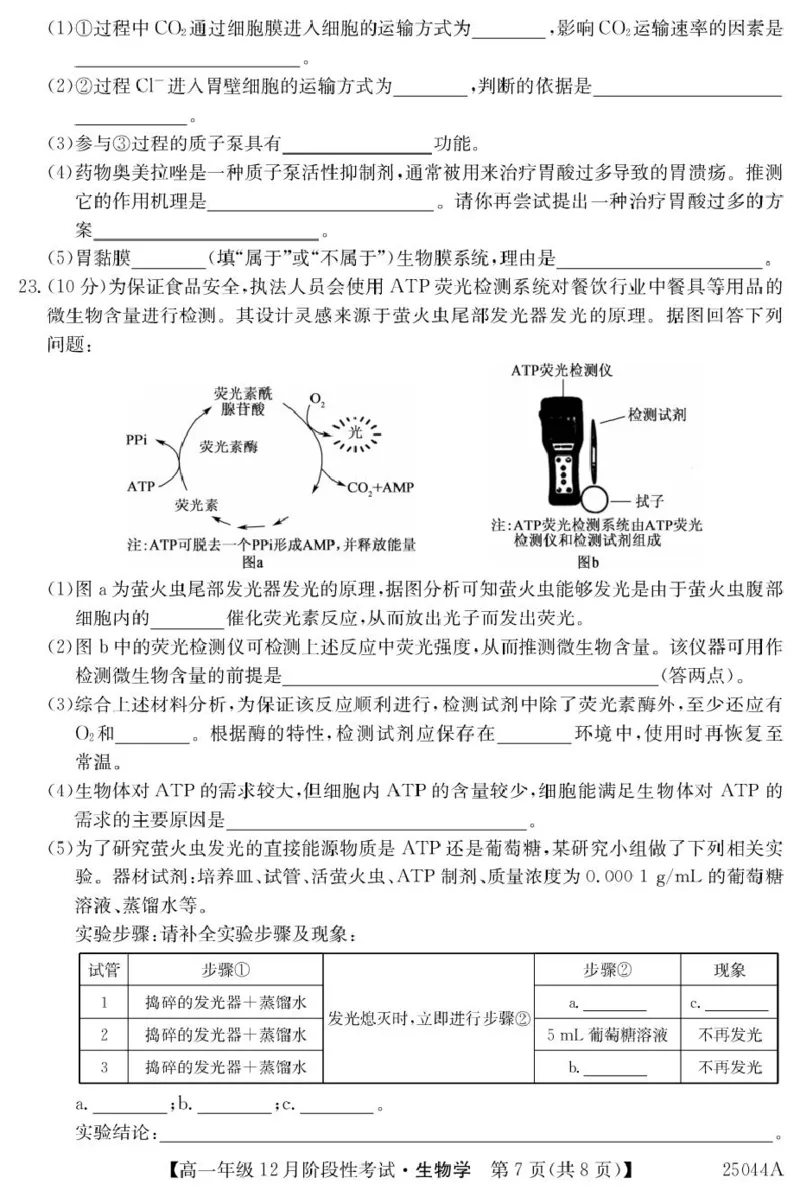 黑龙江省2024-2025学年高一上学期12月月考试题生物PDF版含解析_2024-2025高一（7-7月题库）_2025年01月试卷_0107黑龙江省2024-2025学年高一上学期12月月考试题