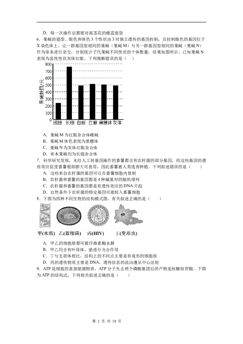 河南省信阳市淮滨县多校联考2023-2024学年高一下学期7月期末生物试题_2024-2025高一（7-7月题库）_2024年7月试卷_0729河南省信阳市淮滨县多校联考2023-2024学年高一下学期期末