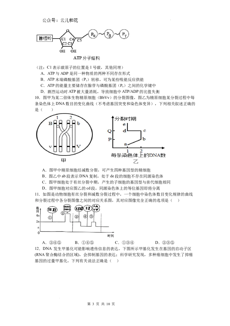 河南省信阳市淮滨县多校联考2023-2024学年高一下学期7月期末生物试题_2024-2025高一（7-7月题库）_2024年7月试卷_0729河南省信阳市淮滨县多校联考2023-2024学年高一下学期期末