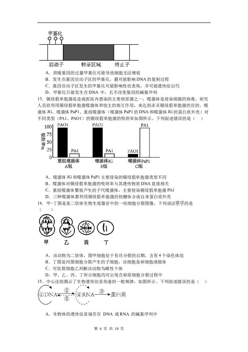 河南省信阳市淮滨县多校联考2023-2024学年高一下学期7月期末生物试题_2024-2025高一（7-7月题库）_2024年7月试卷_0729河南省信阳市淮滨县多校联考2023-2024学年高一下学期期末