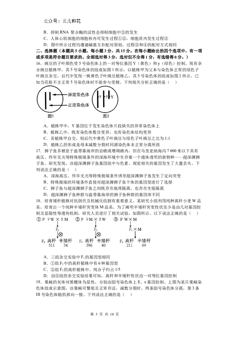 河南省信阳市淮滨县多校联考2023-2024学年高一下学期7月期末生物试题_2024-2025高一（7-7月题库）_2024年7月试卷_0729河南省信阳市淮滨县多校联考2023-2024学年高一下学期期末
