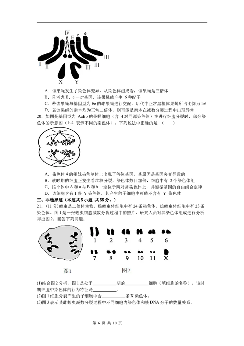 河南省信阳市淮滨县多校联考2023-2024学年高一下学期7月期末生物试题_2024-2025高一（7-7月题库）_2024年7月试卷_0729河南省信阳市淮滨县多校联考2023-2024学年高一下学期期末