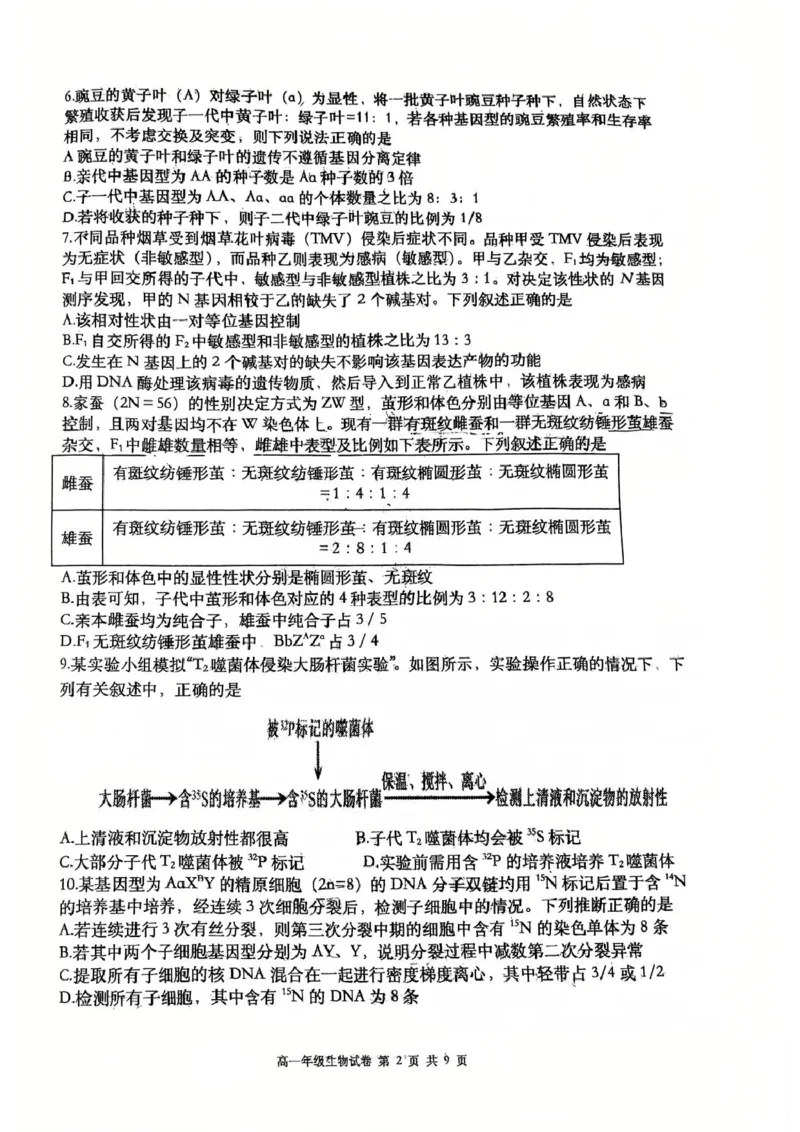 辽宁省大连市沙河口区大连市第八中学2024-2025学年高一下学期6月月考生物试题(图片版含答案)_2024-2025高一（7-7月题库）_2025年7月