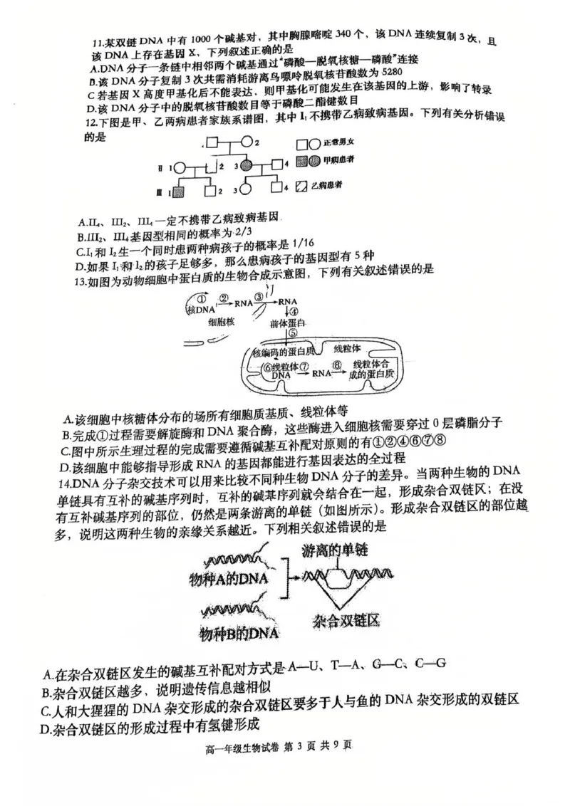 辽宁省大连市沙河口区大连市第八中学2024-2025学年高一下学期6月月考生物试题(图片版含答案)_2024-2025高一（7-7月题库）_2025年7月
