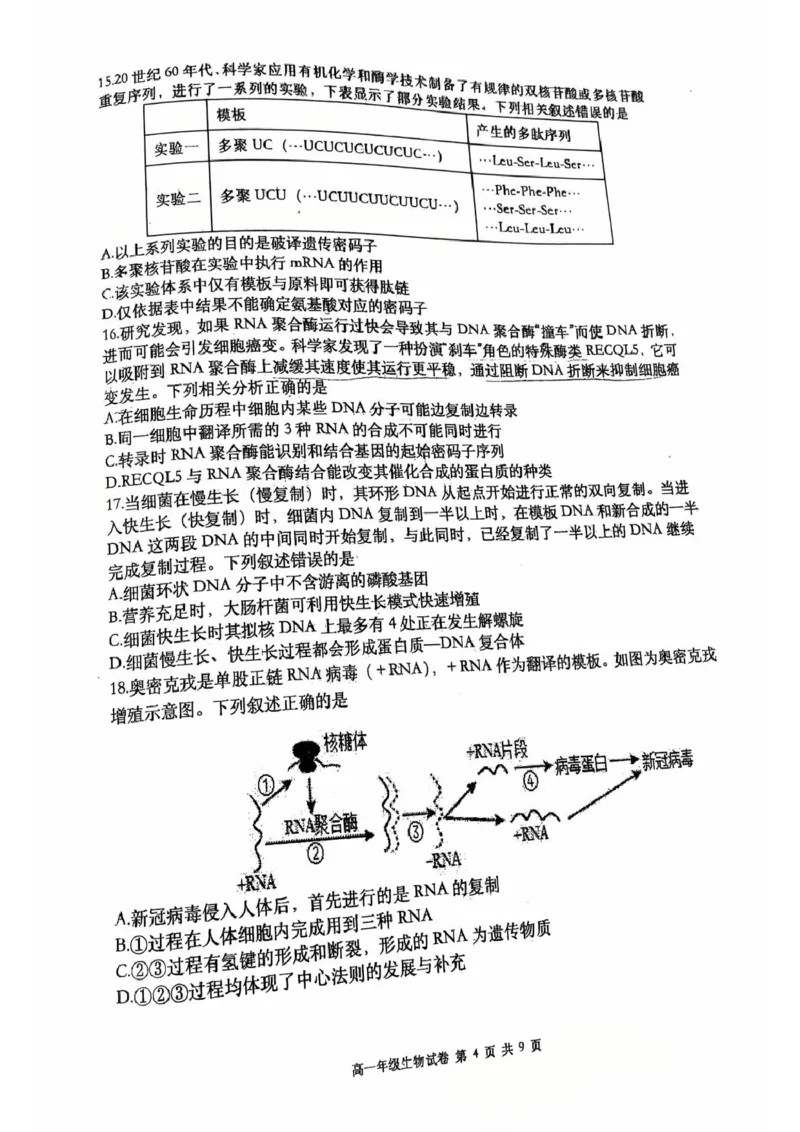 辽宁省大连市沙河口区大连市第八中学2024-2025学年高一下学期6月月考生物试题(图片版含答案)_2024-2025高一（7-7月题库）_2025年7月