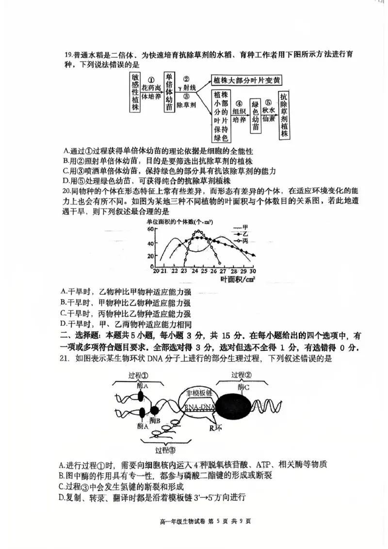 辽宁省大连市沙河口区大连市第八中学2024-2025学年高一下学期6月月考生物试题(图片版含答案)_2024-2025高一（7-7月题库）_2025年7月