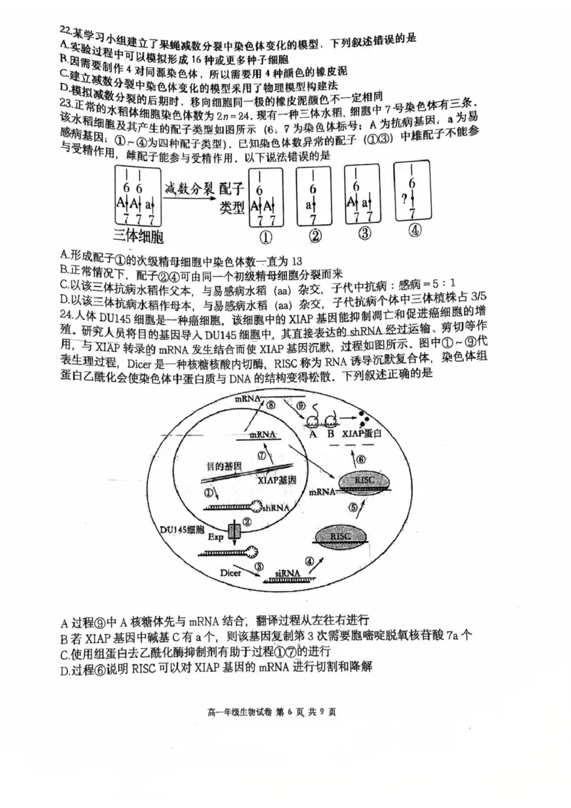 辽宁省大连市沙河口区大连市第八中学2024-2025学年高一下学期6月月考生物试题(图片版含答案)_2024-2025高一（7-7月题库）_2025年7月