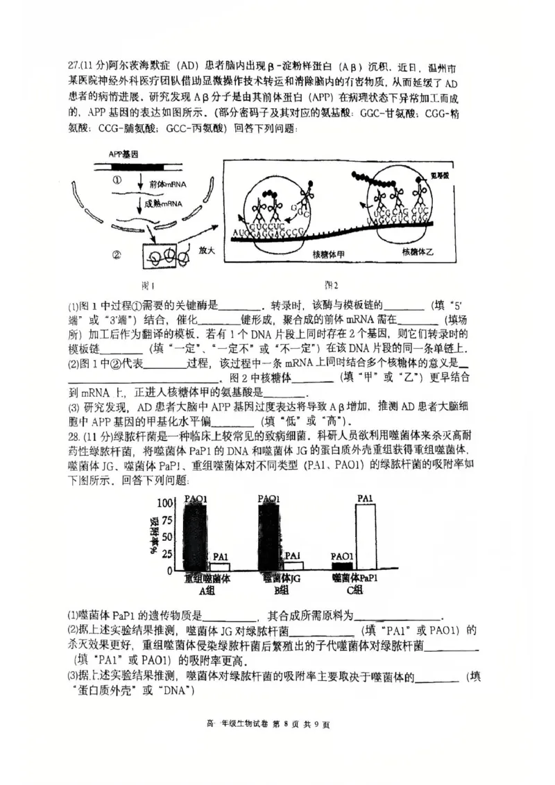 辽宁省大连市沙河口区大连市第八中学2024-2025学年高一下学期6月月考生物试题(图片版含答案)_2024-2025高一（7-7月题库）_2025年7月