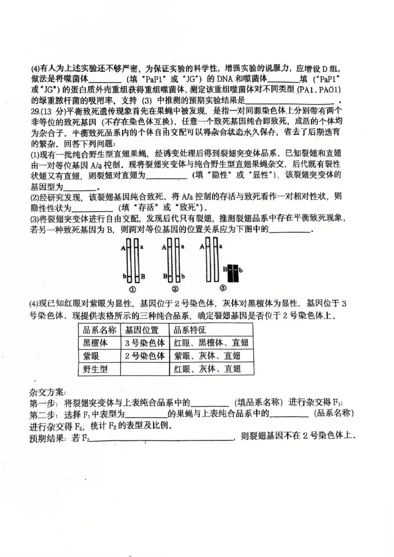 辽宁省大连市沙河口区大连市第八中学2024-2025学年高一下学期6月月考生物试题(图片版含答案)_2024-2025高一（7-7月题库）_2025年7月