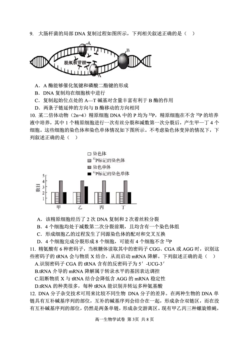 湖北省武汉市常青联盟2024-2025学年度下学期高一年级6月联考生物_2024-2025高一（7-7月题库）_2025年7月_250701湖北省武汉市常青联盟2024-2025学年度下学期高一年级6月联考