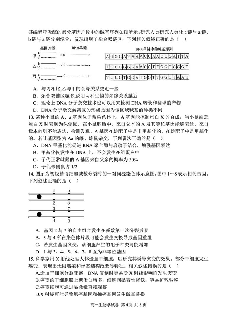 湖北省武汉市常青联盟2024-2025学年度下学期高一年级6月联考生物_2024-2025高一（7-7月题库）_2025年7月_250701湖北省武汉市常青联盟2024-2025学年度下学期高一年级6月联考