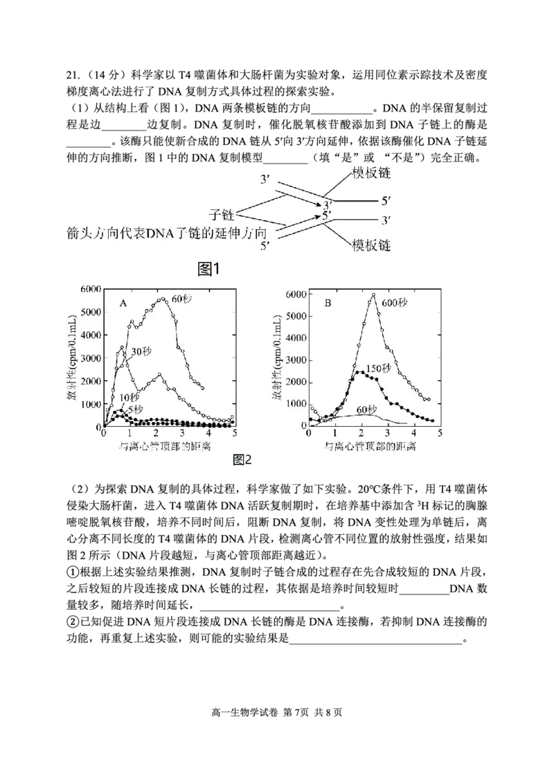 湖北省武汉市常青联盟2024-2025学年度下学期高一年级6月联考生物_2024-2025高一（7-7月题库）_2025年7月_250701湖北省武汉市常青联盟2024-2025学年度下学期高一年级6月联考