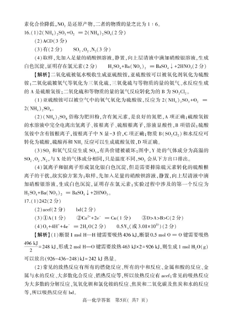 河南省信阳市2024-2025学年高一下学期4月期中考试化学PDF版含解析_2024-2025高一（7-7月题库）_2025年05月试卷_0514河南省信阳市2024-2025学年高一下学期4月期中考试