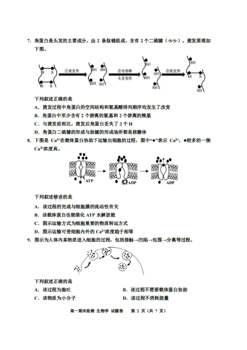 浙江省嘉兴市2024-2025学年高一上学期期末检测试题生物PDF版含答案_2024-2025高一（7-7月题库）_2025年02月试卷_0225浙江省嘉兴市2024-2025学年高一上学期期末检测