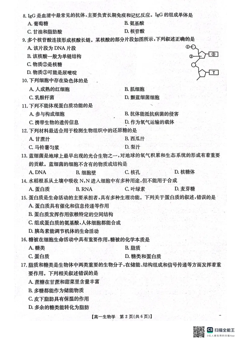 辽宁省辽阳市2024-2025学年高一上学期期中考试生物PDF版含答案_2024-2025高一（7-7月题库）_2024年11月试卷_1106辽宁省辽阳市2024-2025学年高一上学期期中考试