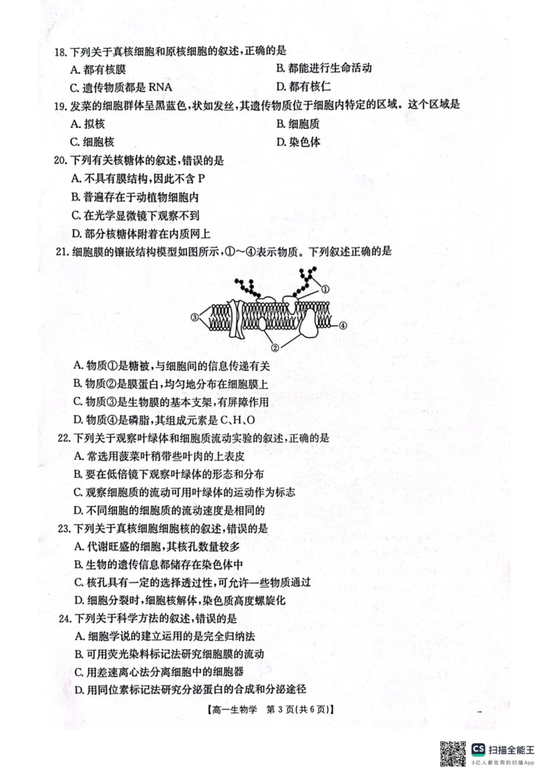 辽宁省辽阳市2024-2025学年高一上学期期中考试生物PDF版含答案_2024-2025高一（7-7月题库）_2024年11月试卷_1106辽宁省辽阳市2024-2025学年高一上学期期中考试