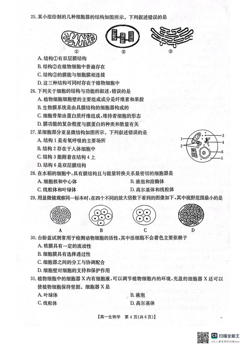 辽宁省辽阳市2024-2025学年高一上学期期中考试生物PDF版含答案_2024-2025高一（7-7月题库）_2024年11月试卷_1106辽宁省辽阳市2024-2025学年高一上学期期中考试