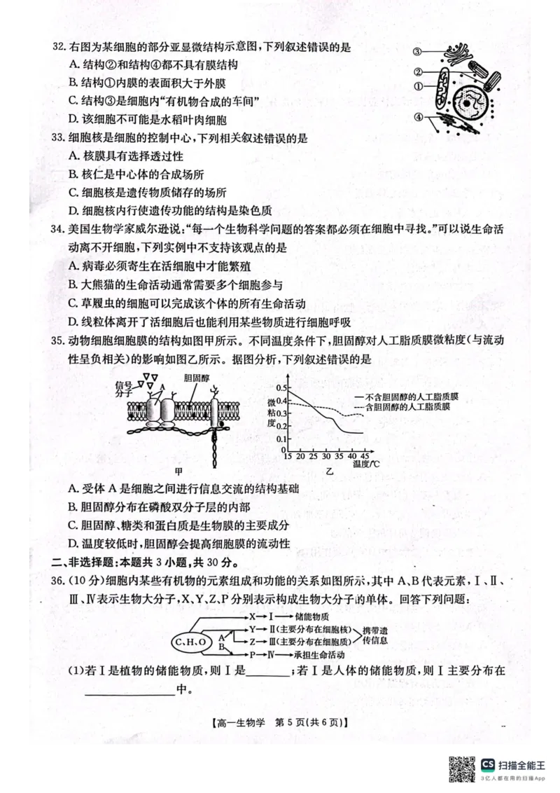 辽宁省辽阳市2024-2025学年高一上学期期中考试生物PDF版含答案_2024-2025高一（7-7月题库）_2024年11月试卷_1106辽宁省辽阳市2024-2025学年高一上学期期中考试