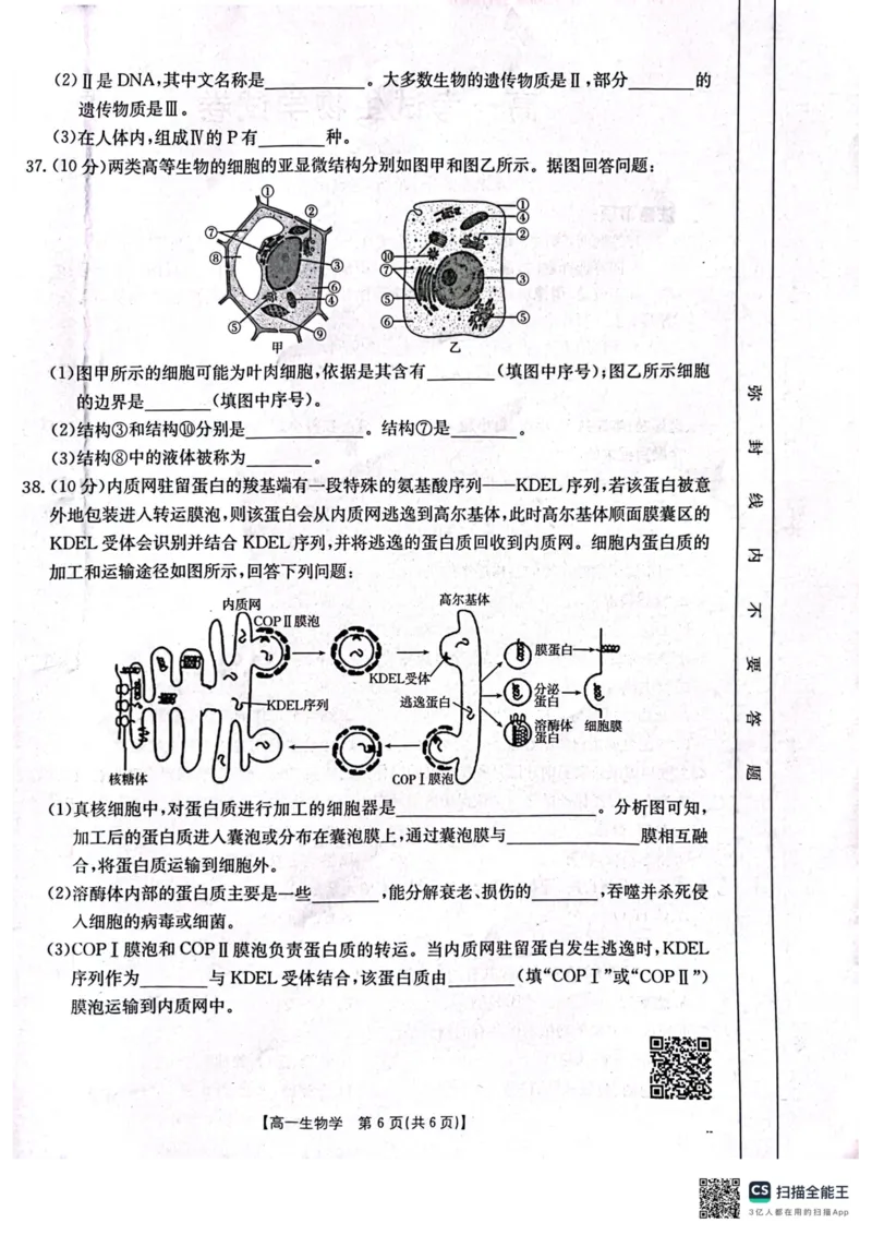 辽宁省辽阳市2024-2025学年高一上学期期中考试生物PDF版含答案_2024-2025高一（7-7月题库）_2024年11月试卷_1106辽宁省辽阳市2024-2025学年高一上学期期中考试