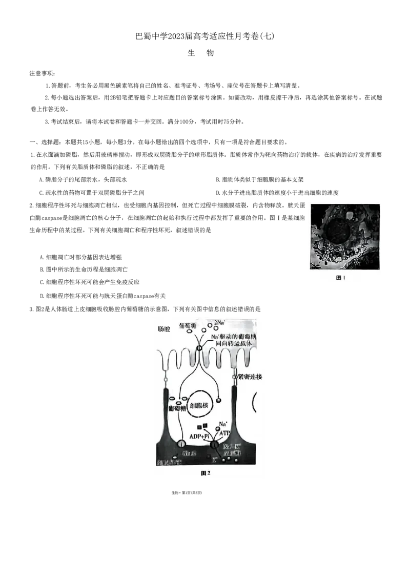 巴蜀（七）生物试题（重排版本）_2024年2月_01每日更新_14号_2023届重庆市巴蜀中学高考适应性月考卷（七）全科_重庆市巴蜀中学2022-2023学年高考适应性月考卷（七）生物