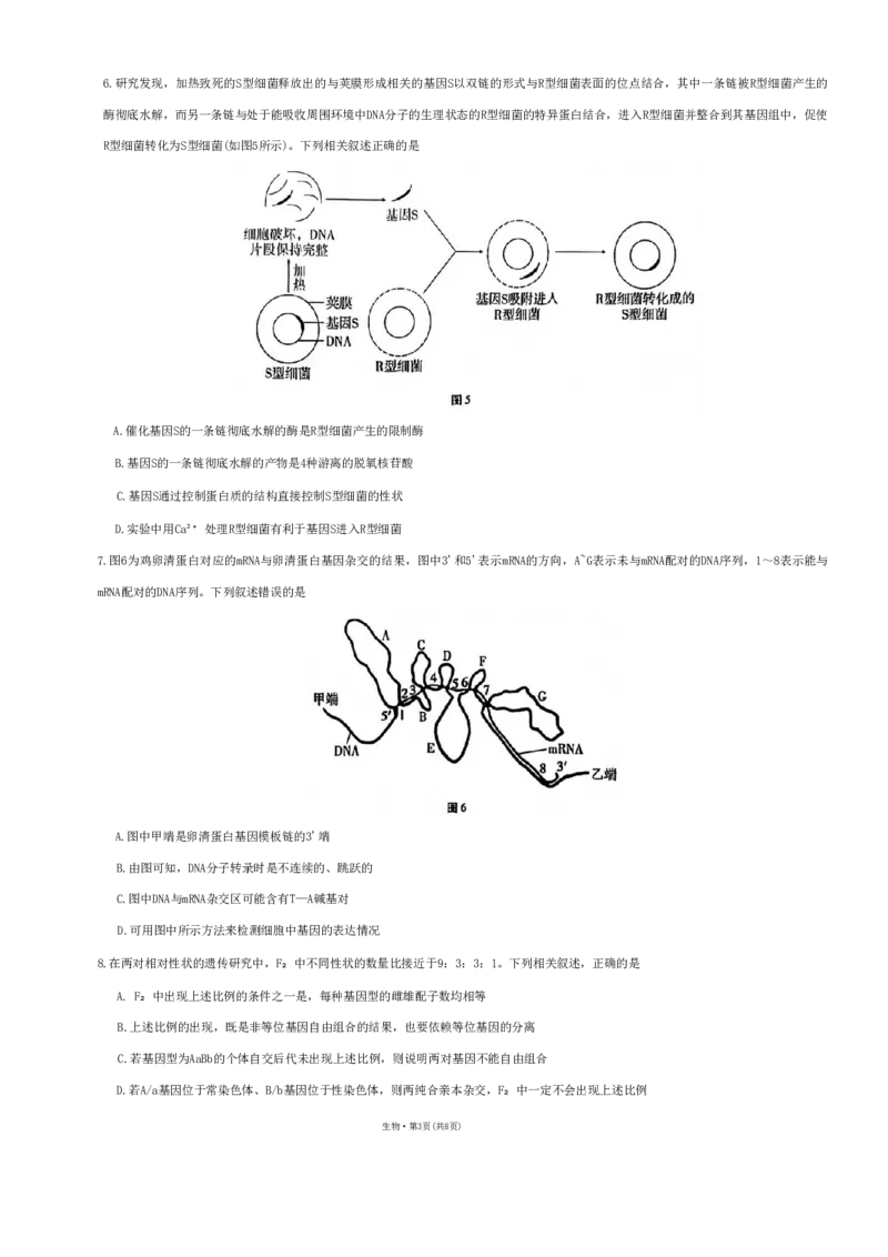 巴蜀（七）生物试题（重排版本）_2024年2月_01每日更新_14号_2023届重庆市巴蜀中学高考适应性月考卷（七）全科_重庆市巴蜀中学2022-2023学年高考适应性月考卷（七）生物