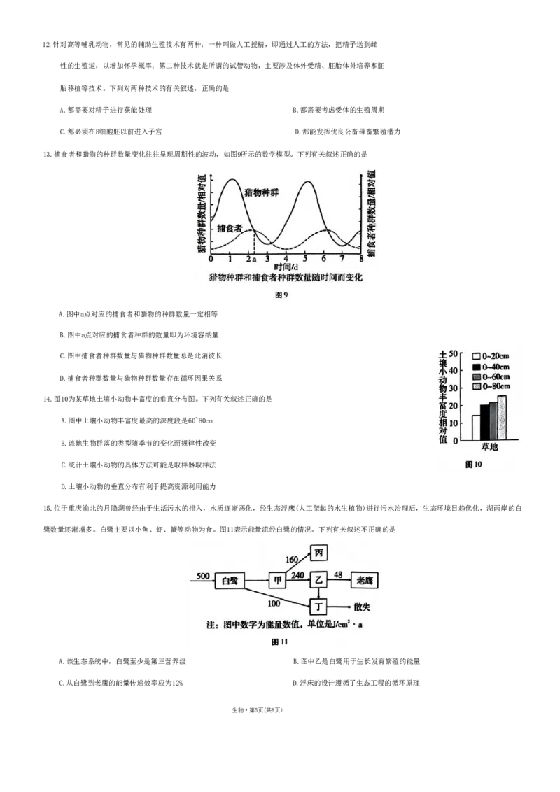 巴蜀（七）生物试题（重排版本）_2024年2月_01每日更新_14号_2023届重庆市巴蜀中学高考适应性月考卷（七）全科_重庆市巴蜀中学2022-2023学年高考适应性月考卷（七）生物
