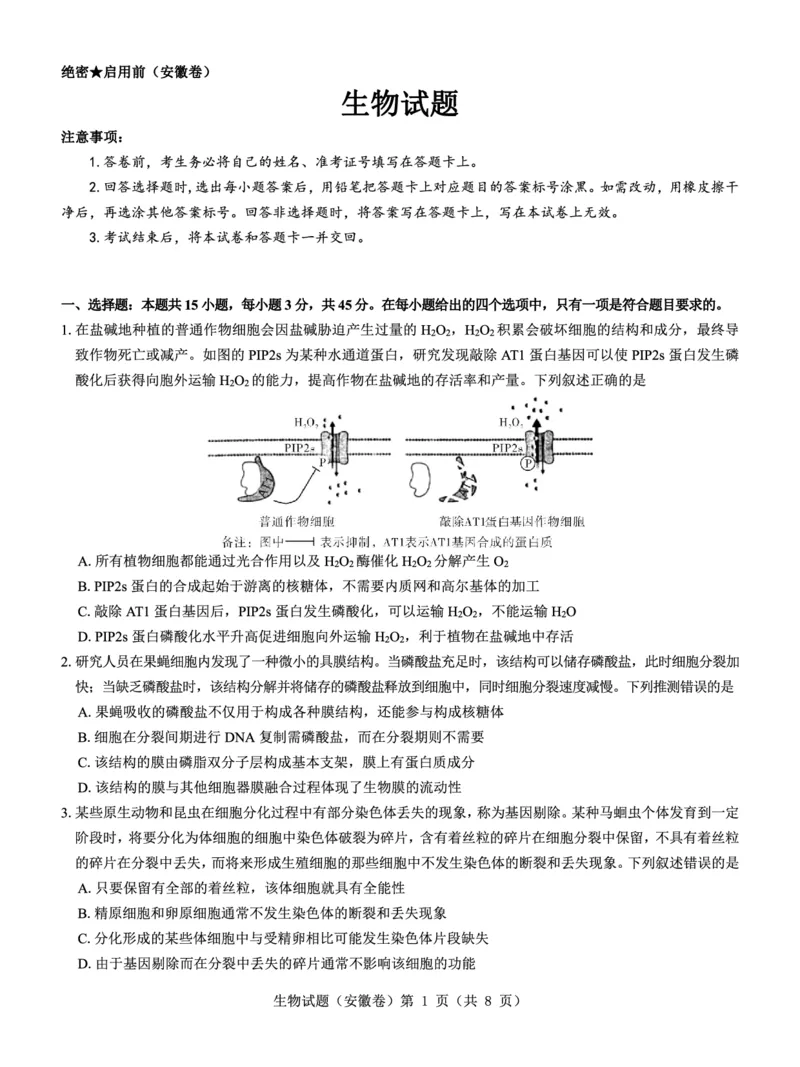 安徽卷名校教研联盟2024届高三3月联考生物试题_2024年3月_013月合集_2024届名校教研联盟高三3月考试（安徽版）_2024届名校教研联盟高三3月考试（安徽版）生物