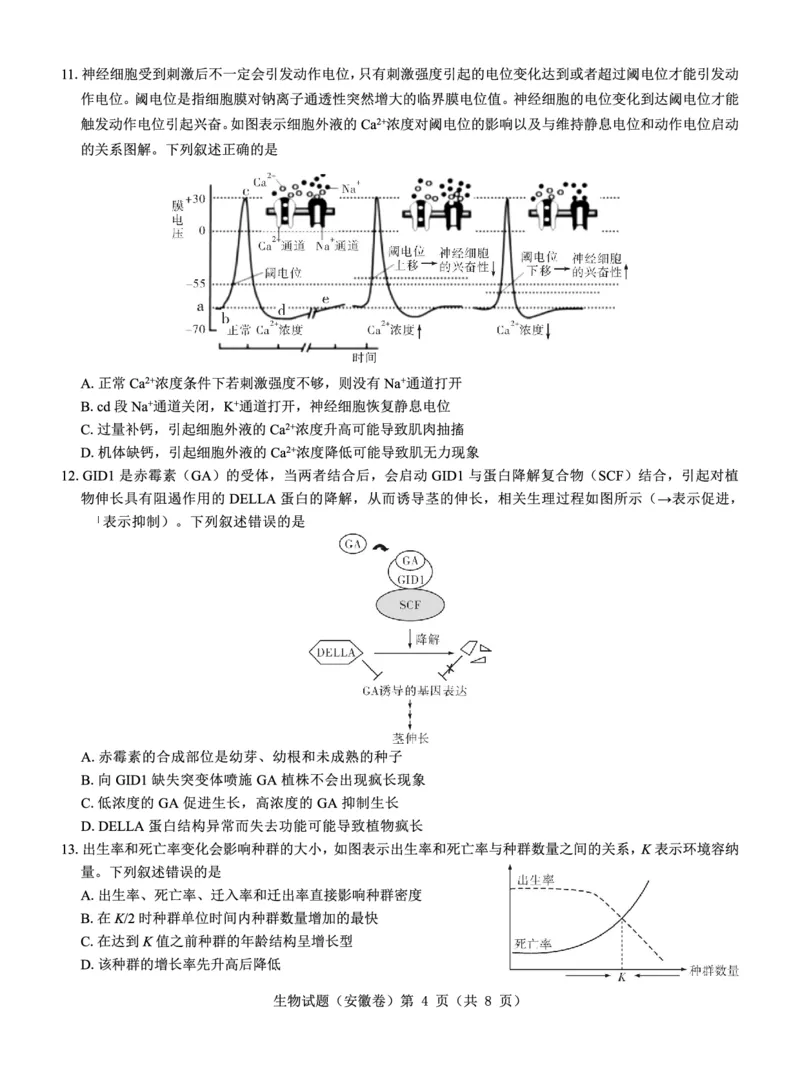 安徽卷名校教研联盟2024届高三3月联考生物试题_2024年3月_013月合集_2024届名校教研联盟高三3月考试（安徽版）_2024届名校教研联盟高三3月考试（安徽版）生物